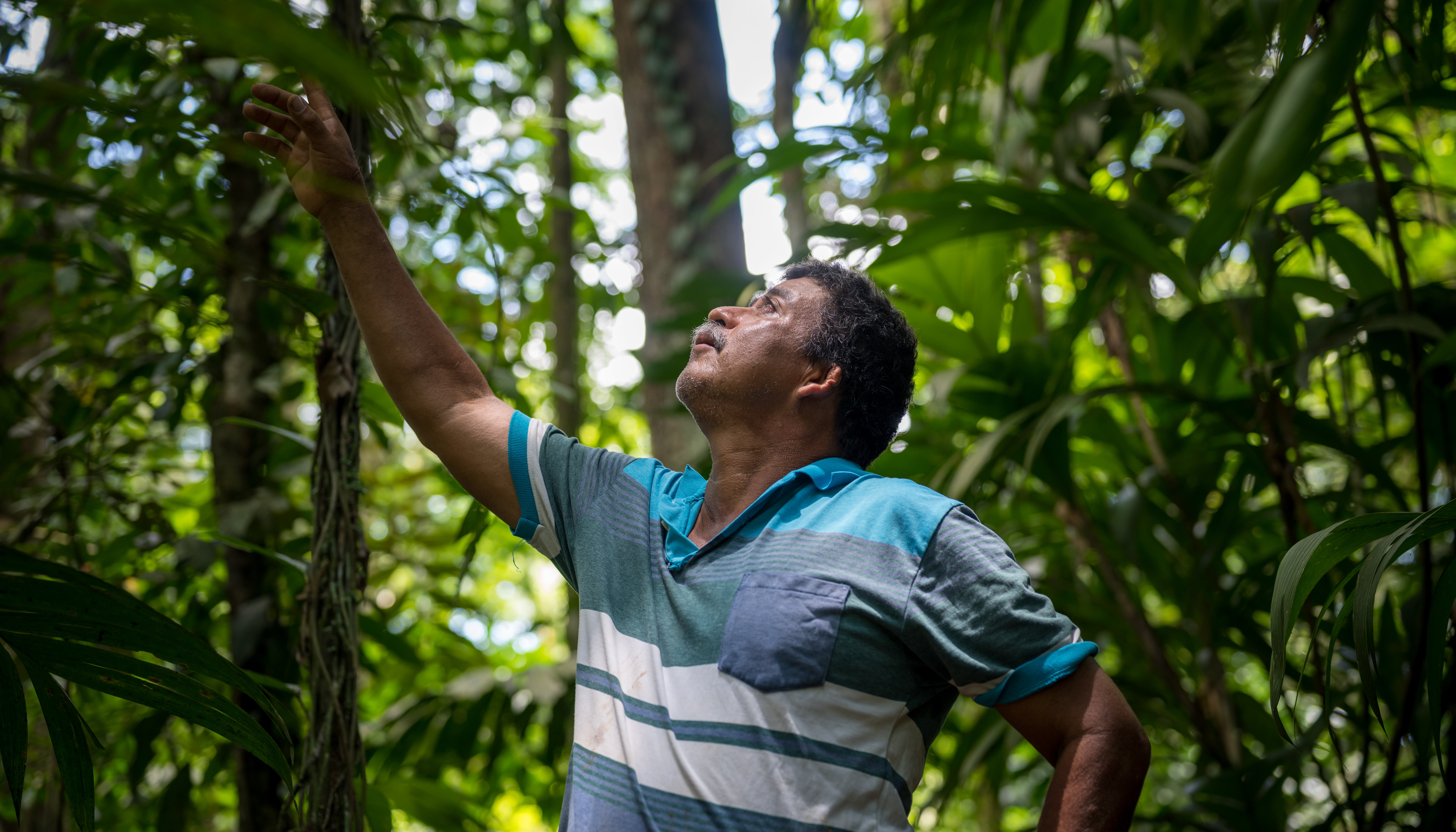 Read Protect and Restore by PNUD en América Latina y el Caribe