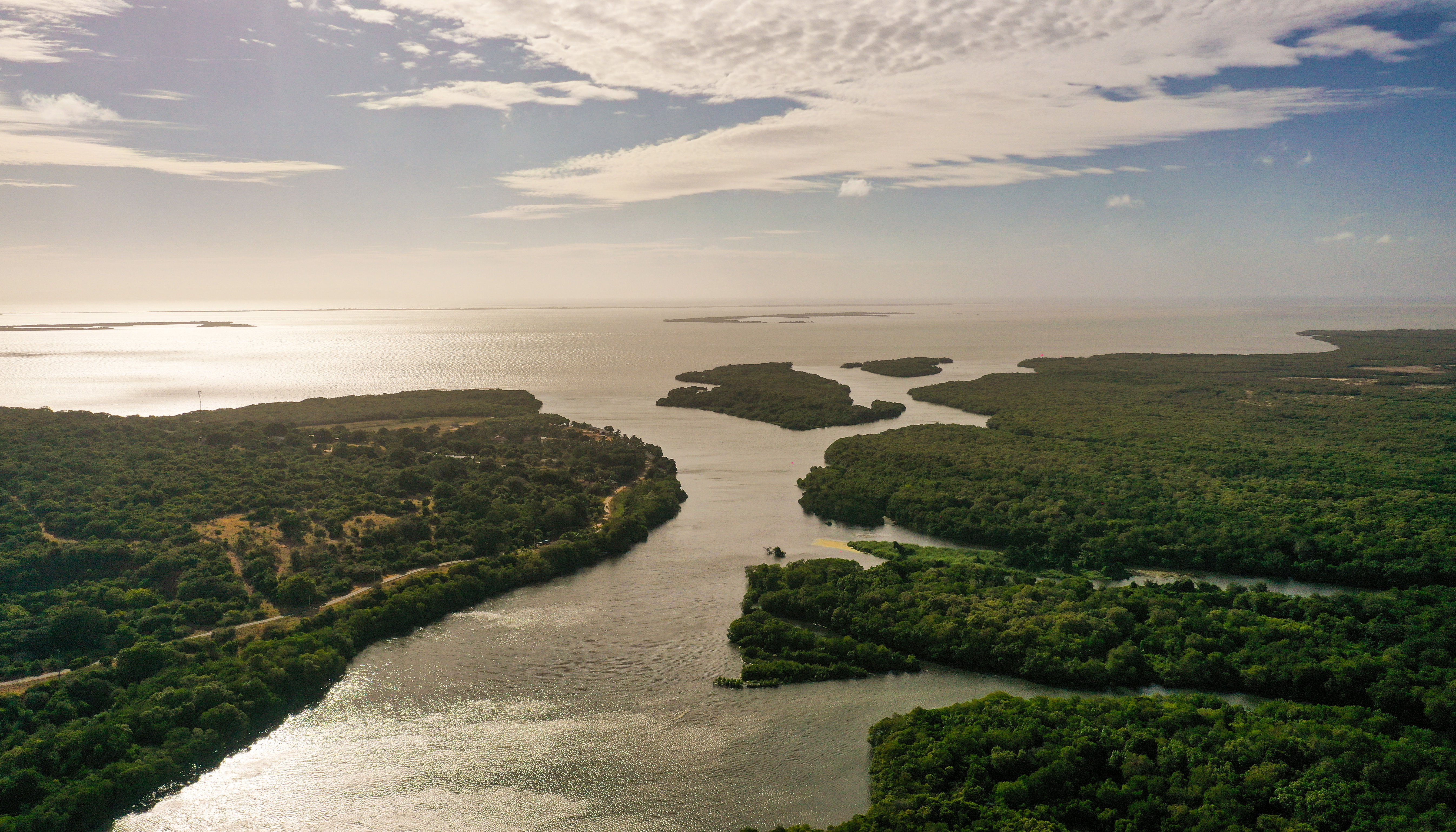 Read A double win for the ESA Project by UNDP Sri Lanka
