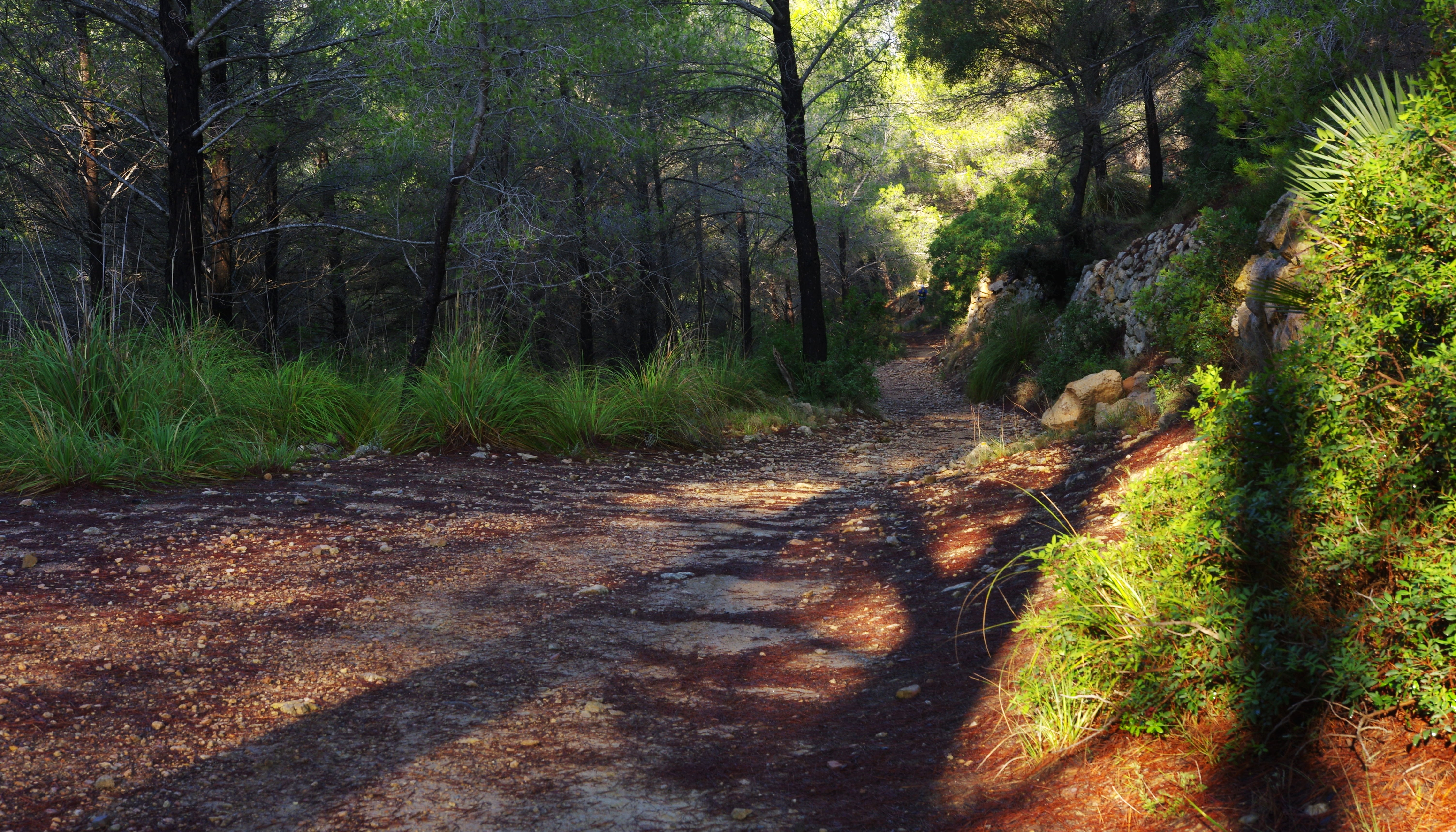 Read Dry Stone Route by Northern Adventures