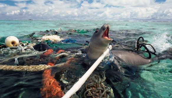 Read New Zealand by YRE Competition