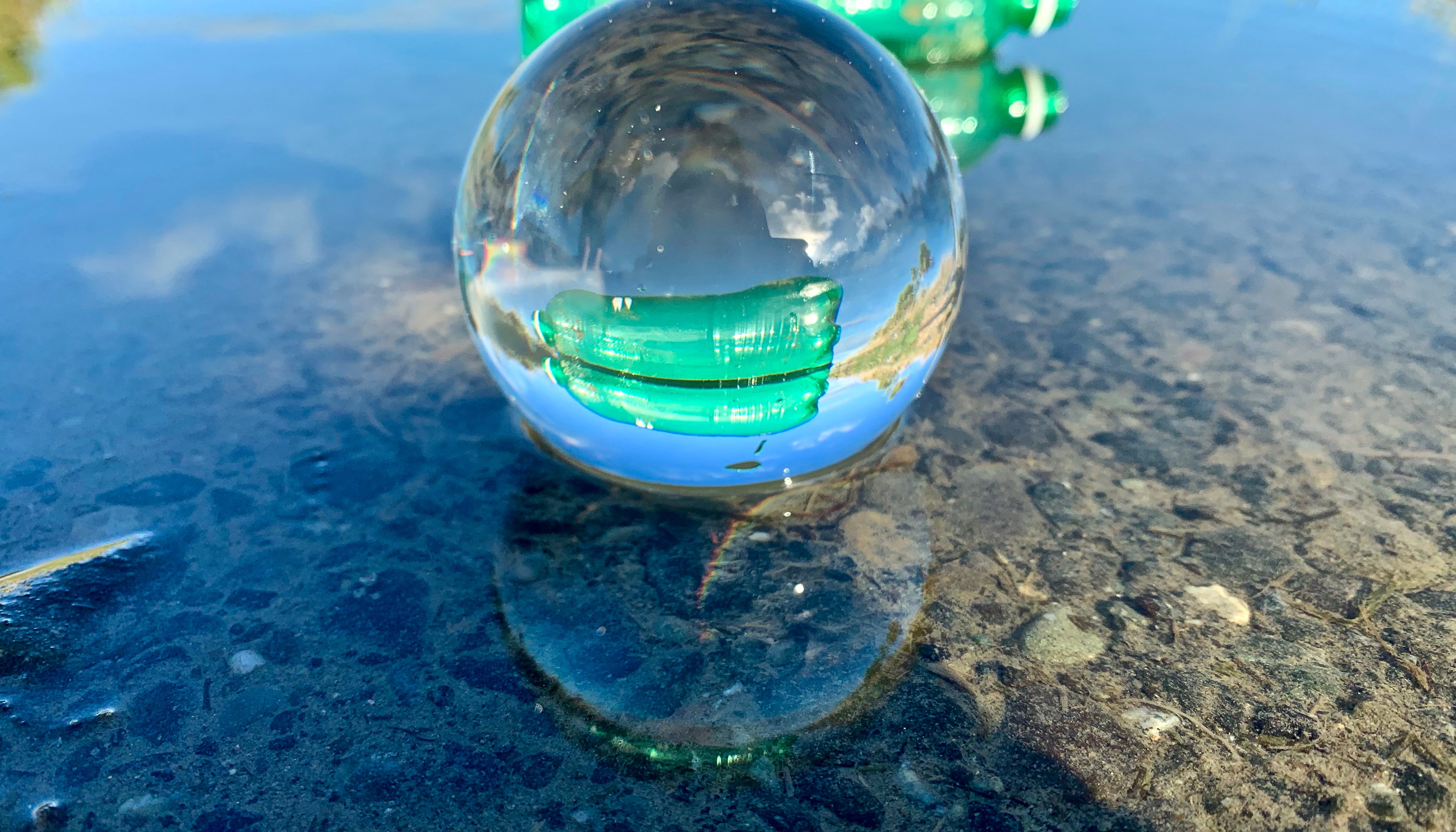 Read New Zealand by YRE Competition