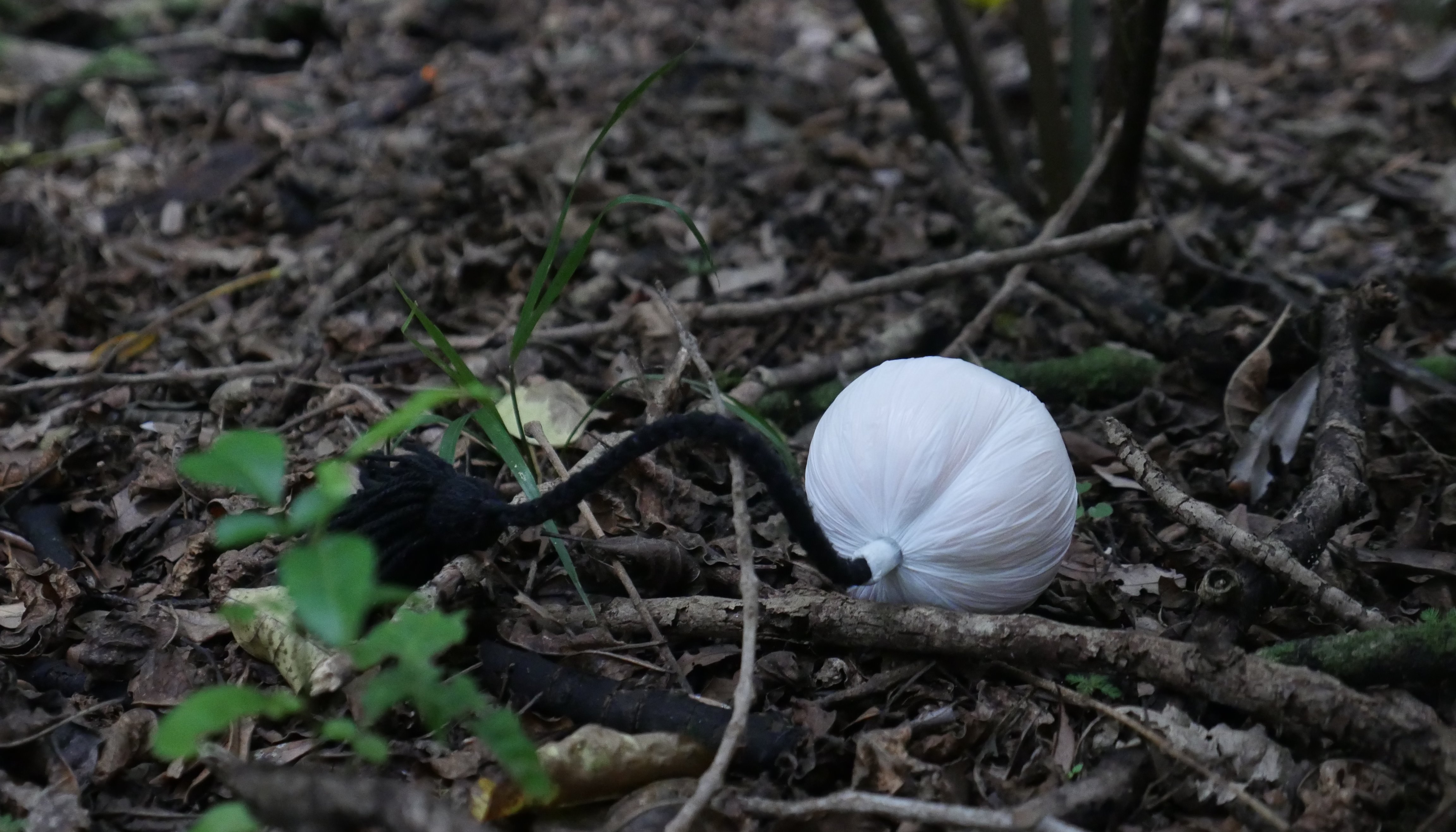 Read New Zealand by YRE Competition