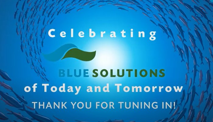 Read Virtual Ceremony&nbsp; by Blue Solutions