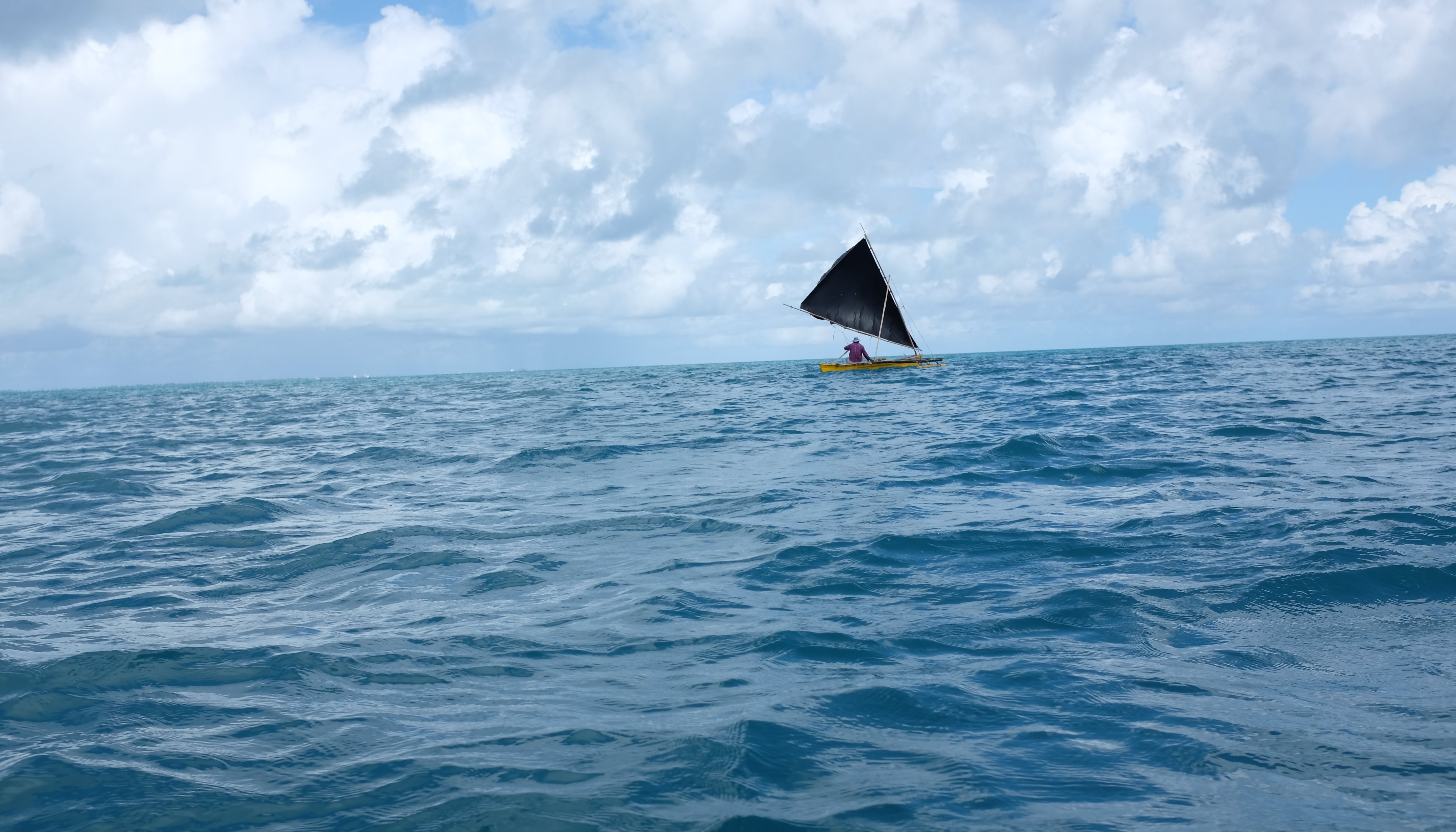 Read Nurturing Pandemic Resilience in the Pacific by Climate UNDP