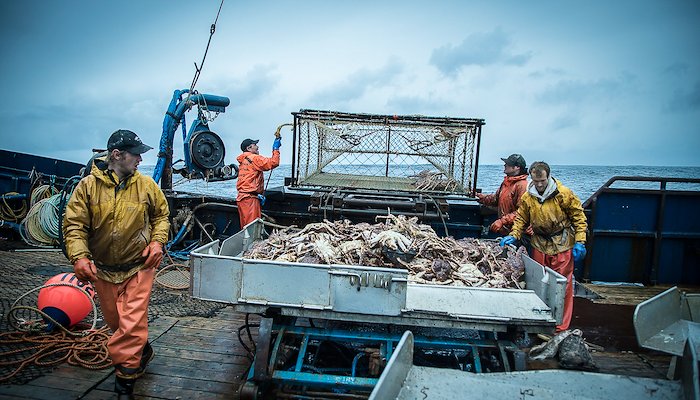 Read Following the digital footprint of fish: Fishery Traceability IDs revolutionize the seafood industry by Mary Matthews