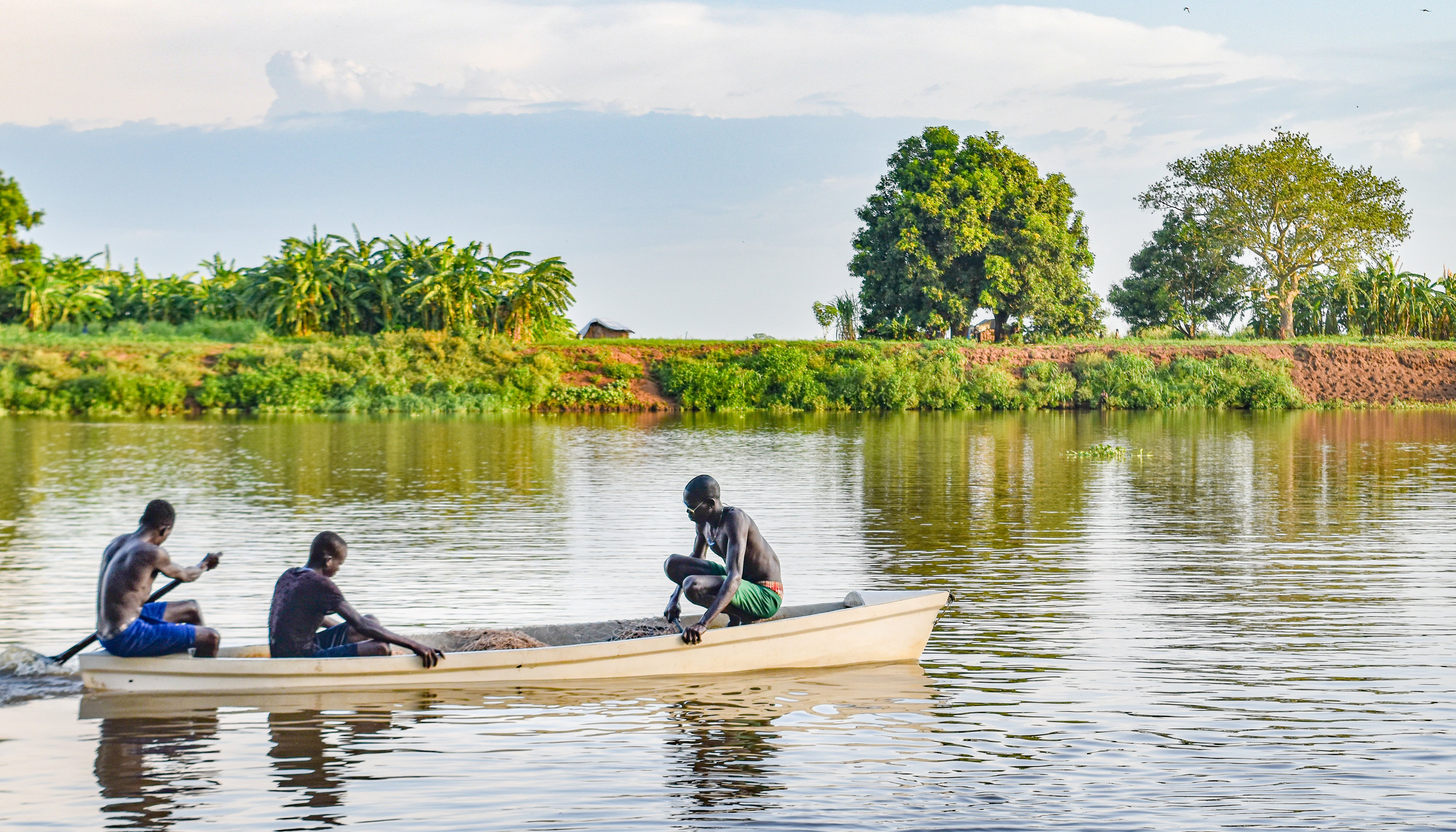 Read Action Climatique: Les Pays Africains Intensifient la lutte by Climate UNDP