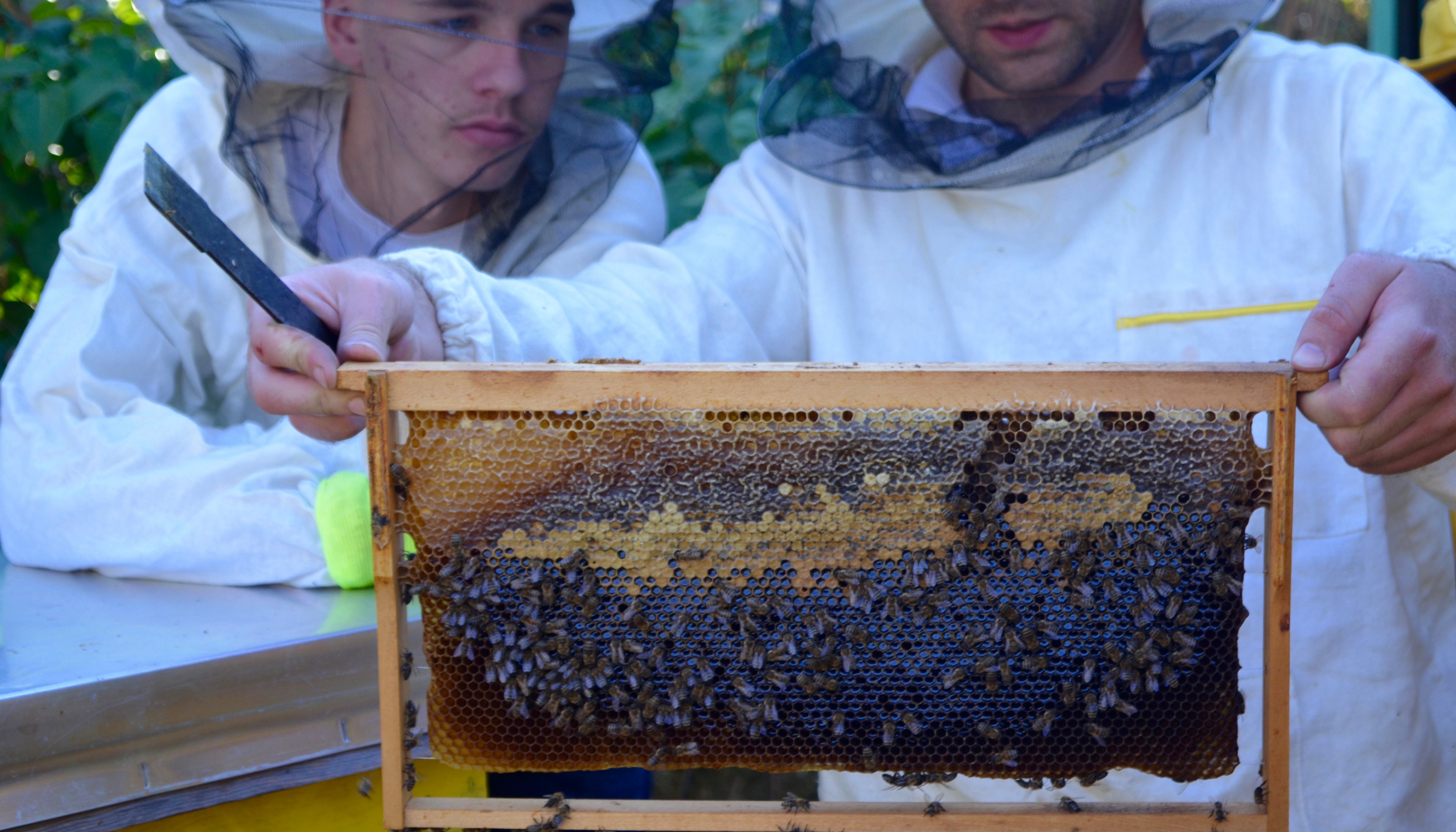 Read Youth: Creating the Future of Ecotourism in Kosovo by UNDP Kosovo