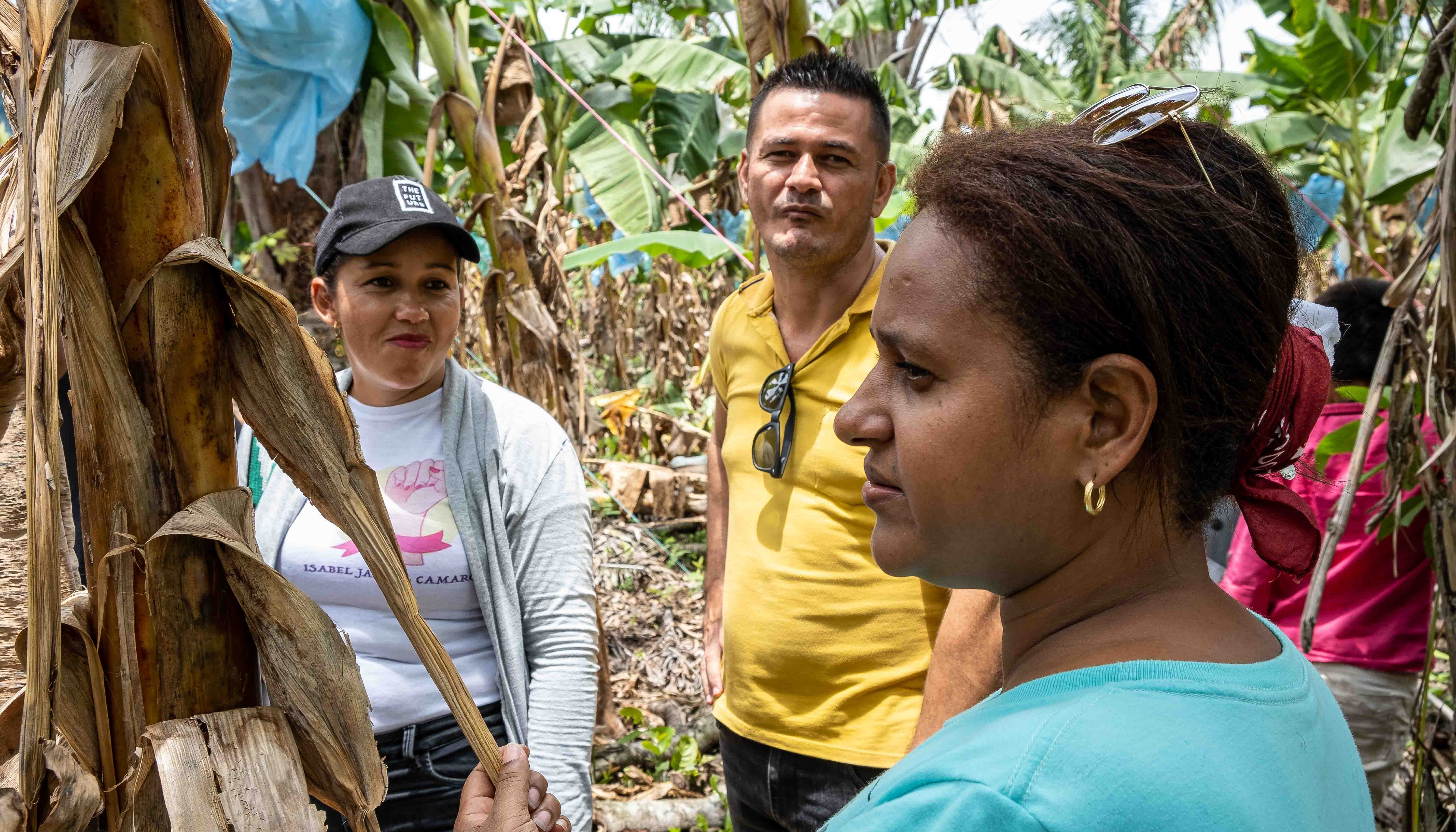 Read Keeping our word by PNUD Colombia