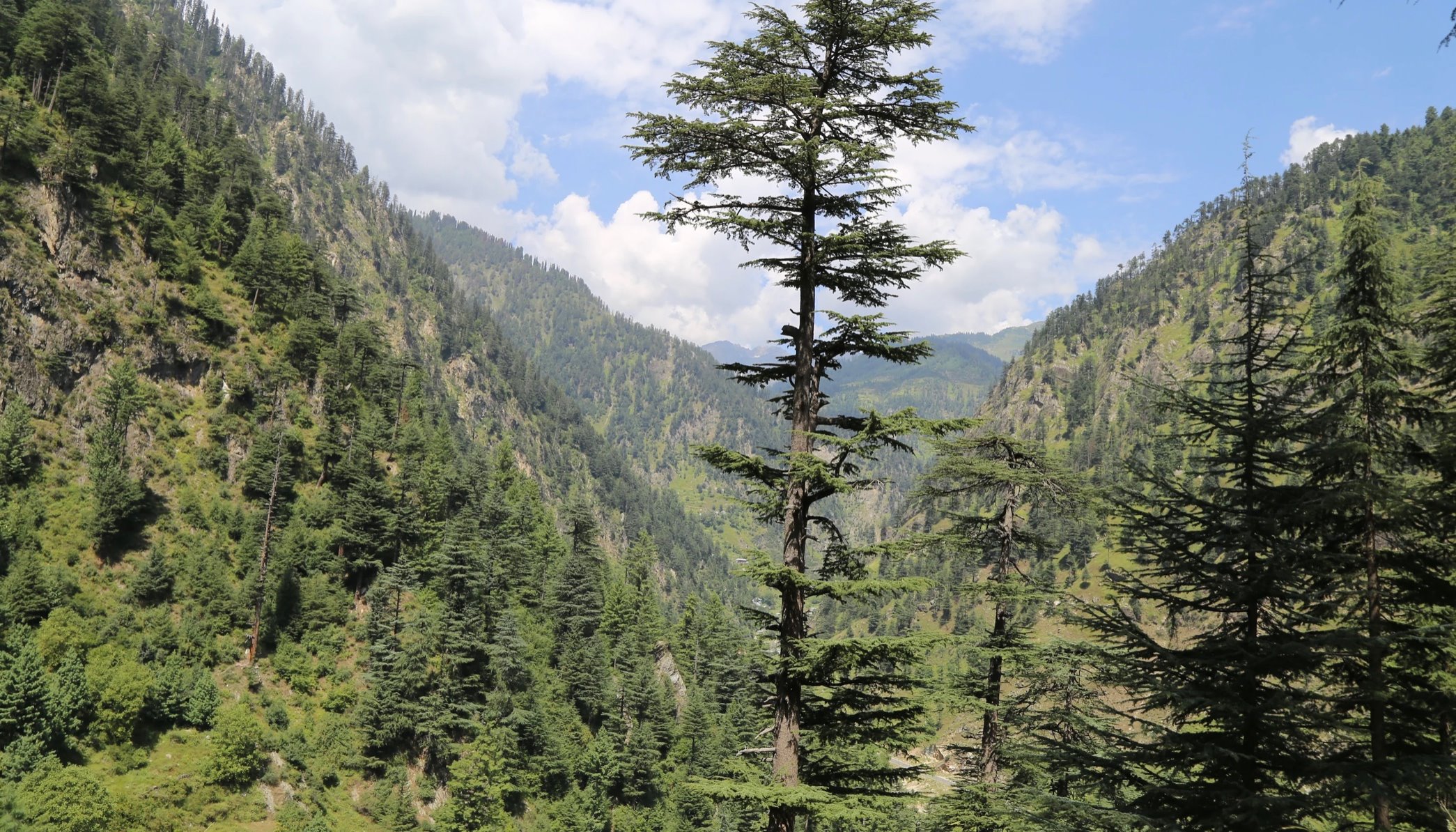 Read Taking Stock by UNDP Pakistan