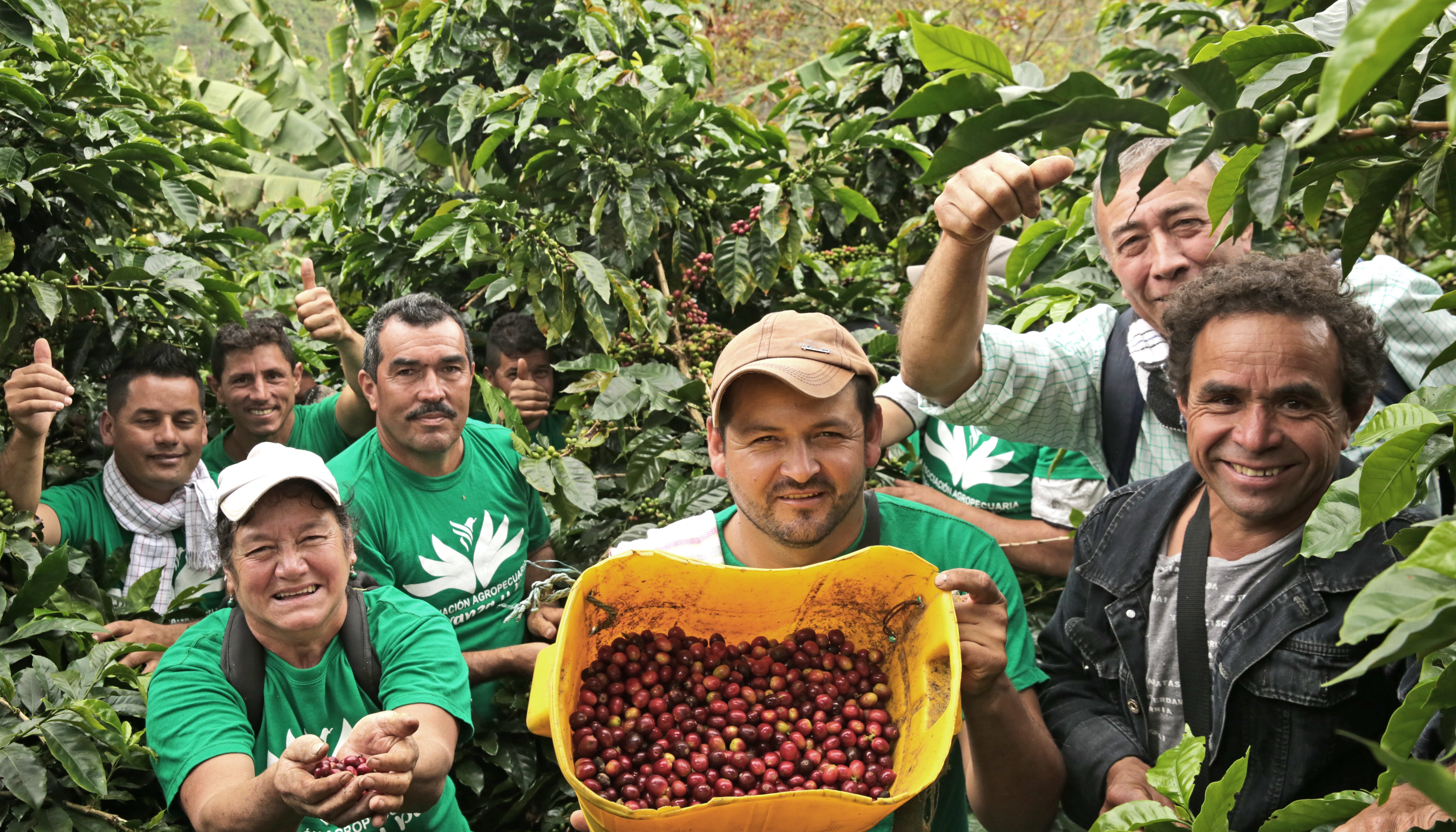 Read Esperanza y paz by PNUD Colombia