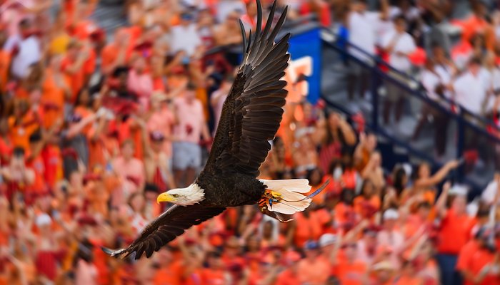 Read A Look Back at September by Auburn Photo