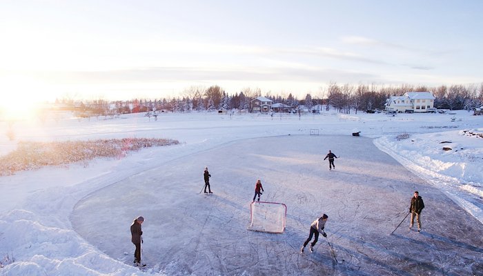 Read Skating Makes Life Better by Franklin Sports