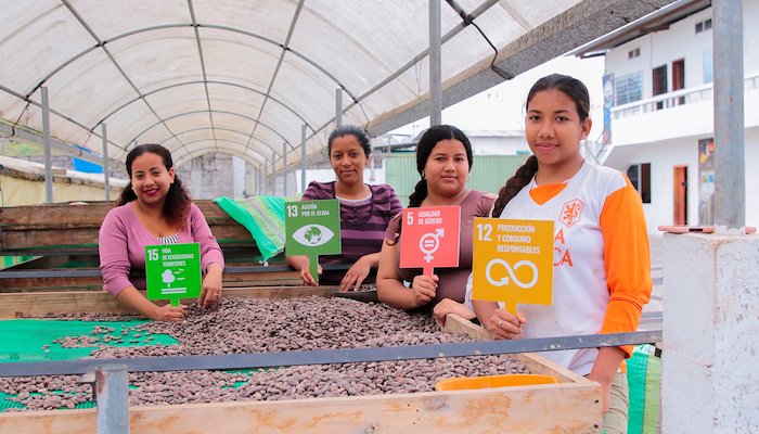 Read A new way of producing coffee by United Nations Development Programme