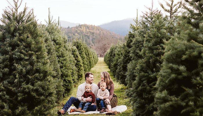 Read Christmas Tree Farm Family Photography Session. Medford, Oregon.&nbsp; by Ashleigh Cropper