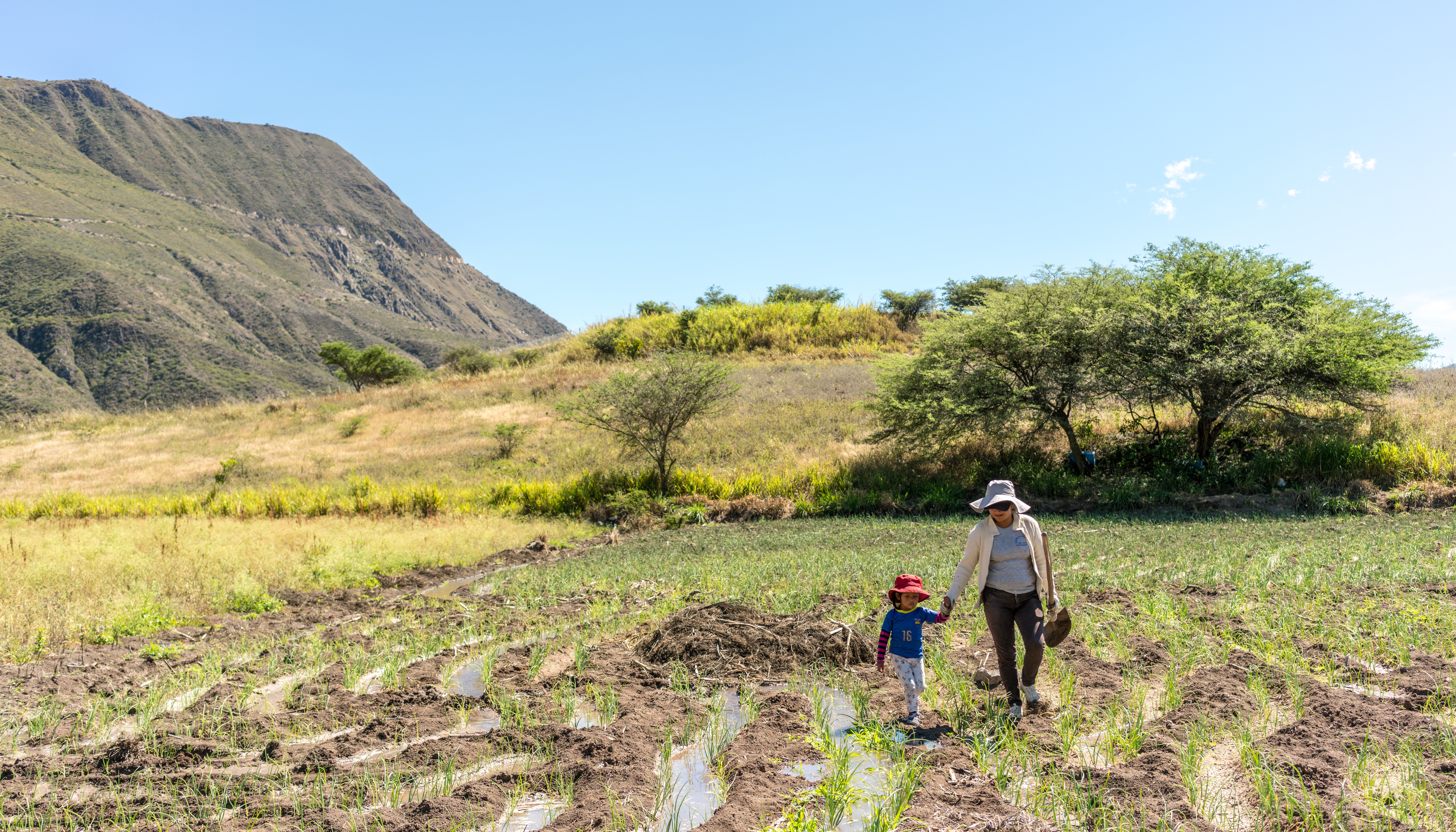 Read Advancing adaptation and gender equality in Ecuador by Climate UNDP