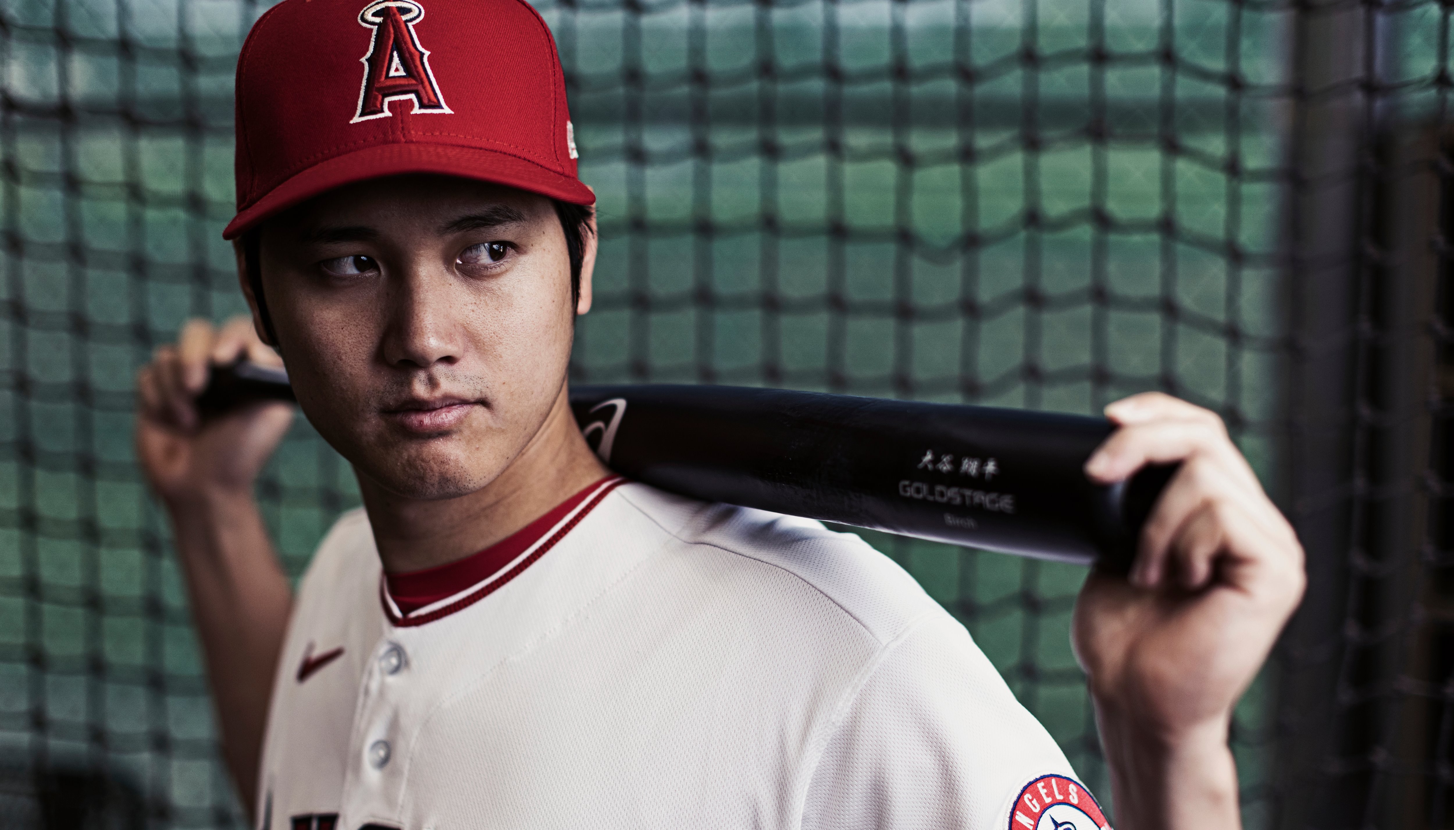 Read MLB Portraits 2022 by Rob Tringali