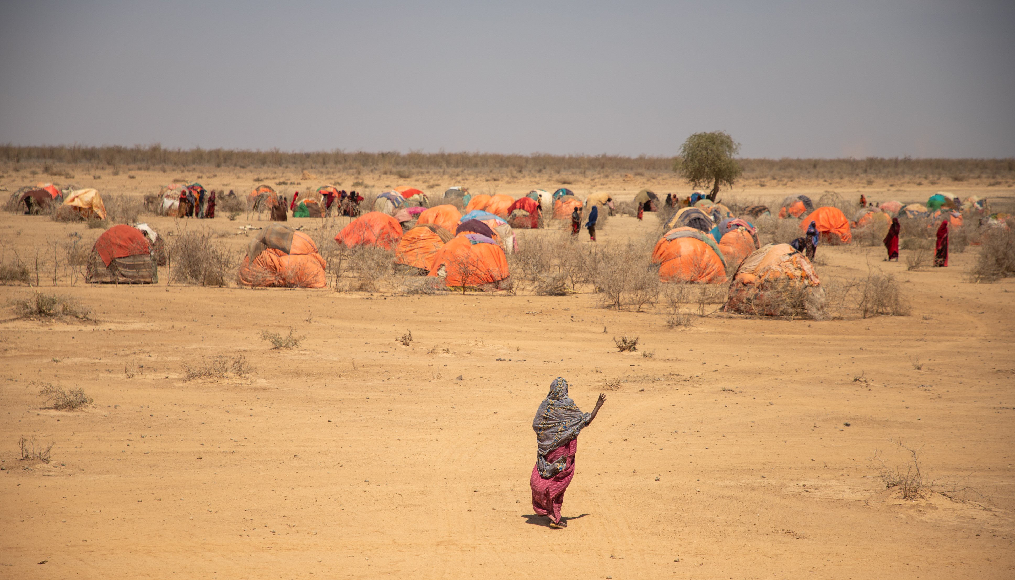 Read “In my 70 years, I have not seen anything   as severe as this” by United Nations OCHA