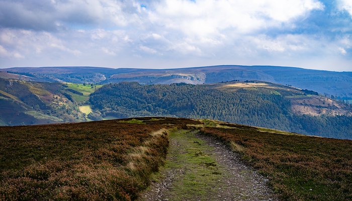 Read Moel y Faen by Rory Wilmer