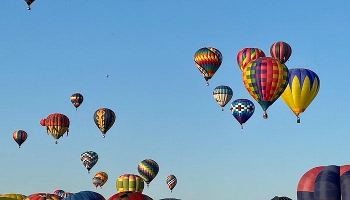 Read 2024 Albuquerque International Balloon Fiesta by Jill Meyers