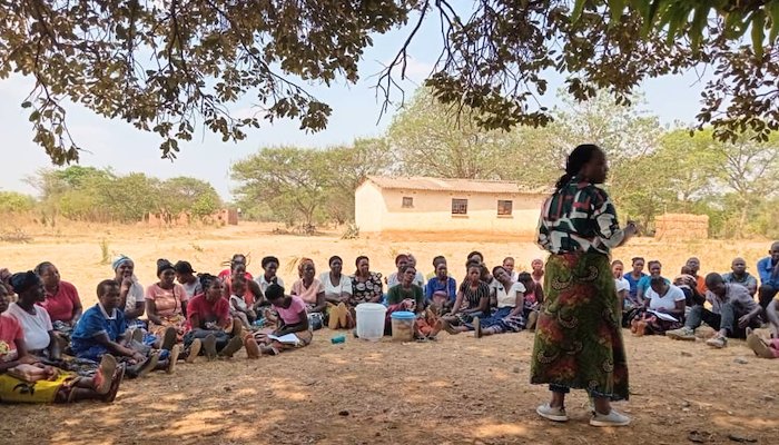 Read From Risk to Resilience:&nbsp; by Martina Mascarenhas
