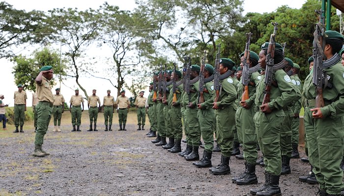 Read Guardians of the Democratic Republic of the Congo’s Natural World Heritage by Holly Kandel