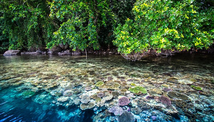 Read In harmony with nature’s rhythm by Mary Matthews