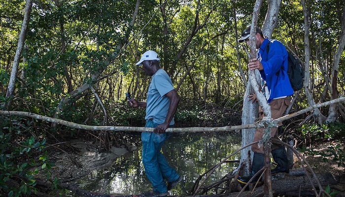 Read Costas resilientes by Climate UNDP