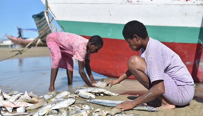 Read Women in South Papua lead sustainable change in fisheries by IW:LEARN