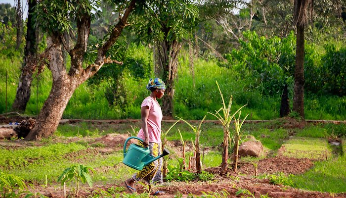 Read Food for now, seeds for the future by DG ECHO