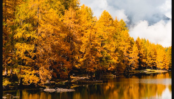 Read Herbstfarben by Mike Wicki PHOTOGRAPHY