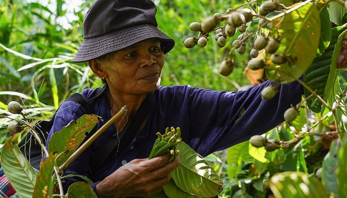 Read Roots of Strength by UNDP Philippines