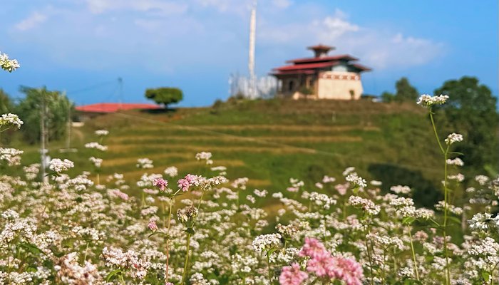 Read From Fallow Lands to Flourishing Fields by UNDP Bhutan