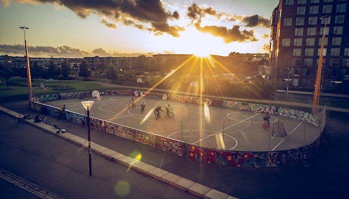 Read Bike Polo by Martin Paldan