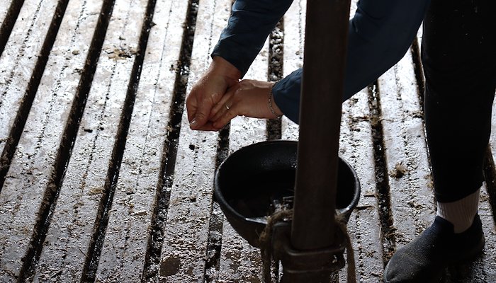 Read The Scars From Where The Light Floods In by UNDP Kosovo
