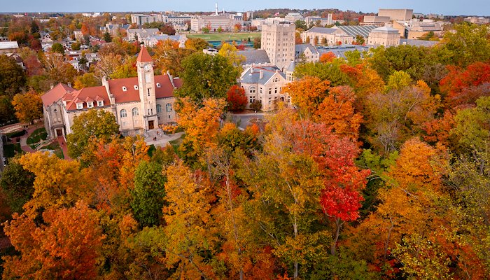 Read The colors of fall by James Brosher