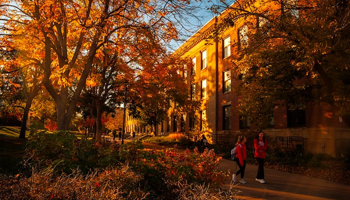 Read Husker Red, Orange and Yellow by University of Nebraska–Lincoln