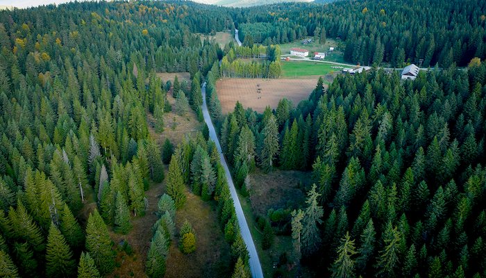 Read Spruce of Hope by UNDP Eurasia