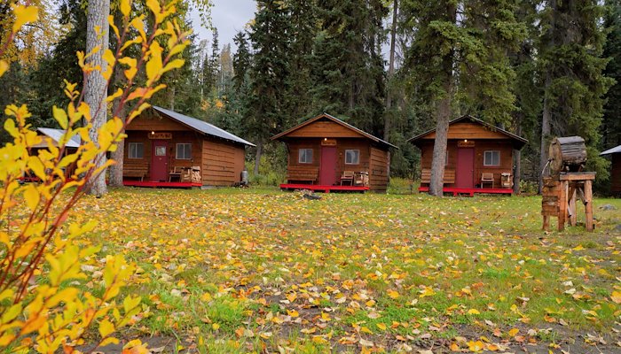 Read Autumn Giants and Unexpected Wins by Lost Coast Outfitters