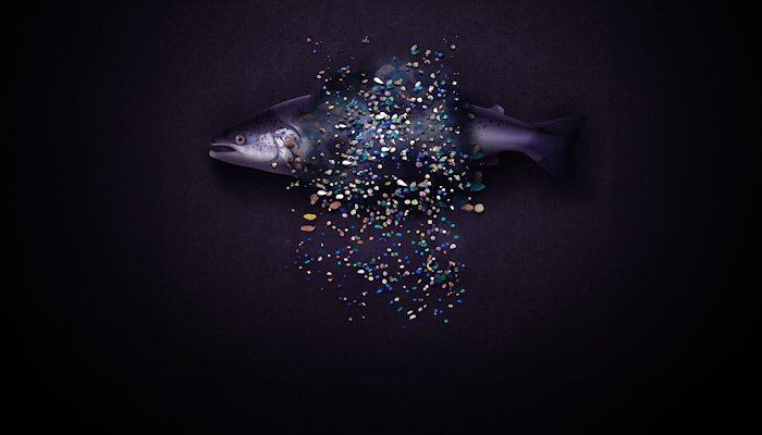 Read Ocultos a simple vista by United Nations Development Programme