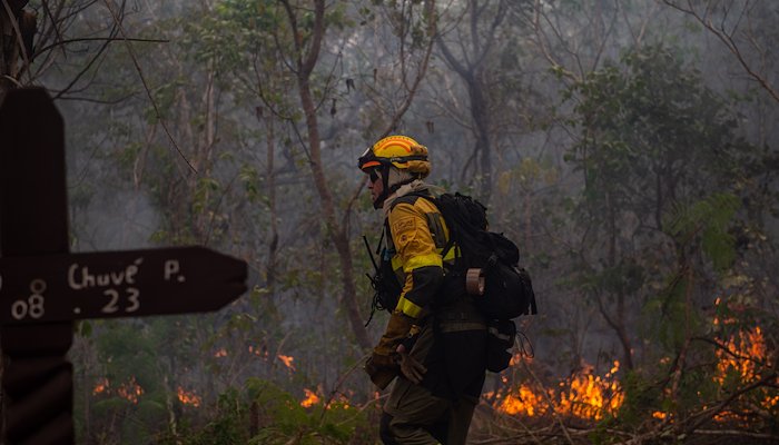 Read The EU helps fight record Amazon wildfires by DG ECHO