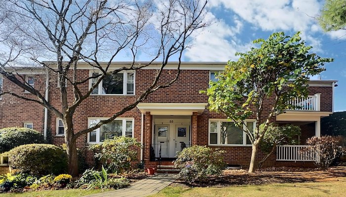 Read 55 Carpenter Avenue #C by Ari Lee
