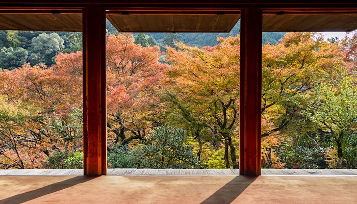 Read Western Kyoto by Edmond Leung