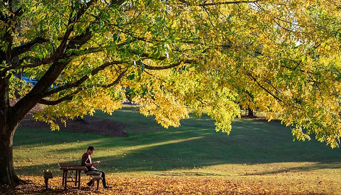 Read A Look Back at November by Auburn Photo