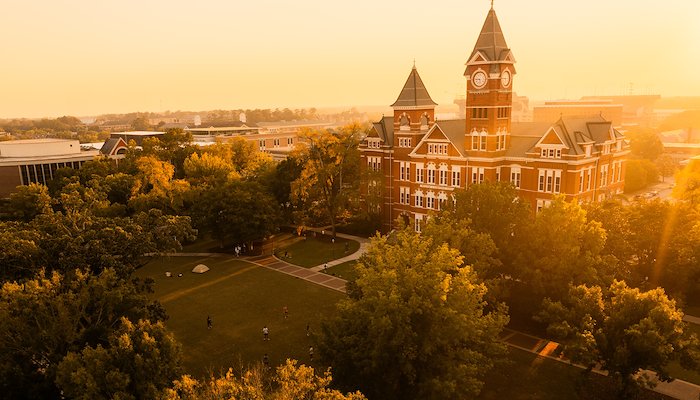 Read Best 24 of 2024 by Auburn Photo