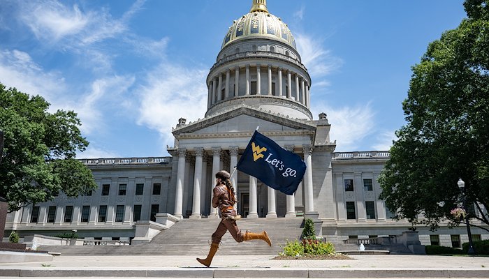 Read Fly the Flag by Matt Sunday