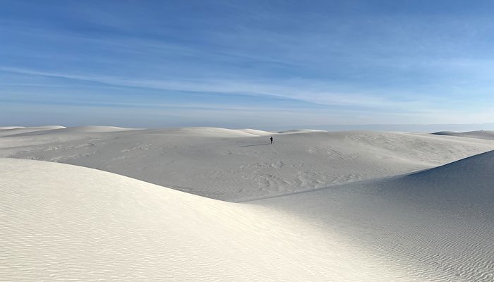 Read ENTER SAND, MAN by Joe Arney