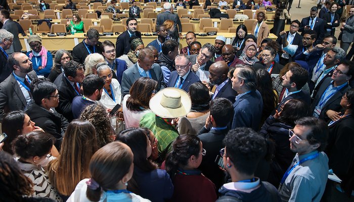 Read COP29 Concludes by GRID-Arendal