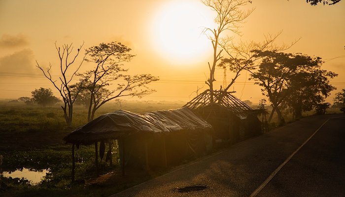 Read Sowing community and conservation by United Nations Development Programme