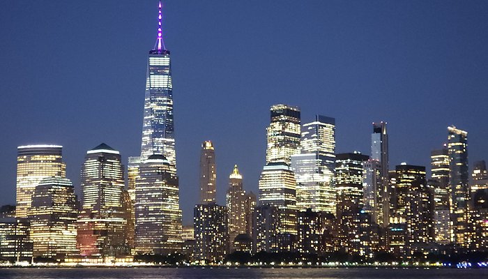 Read NEW YORK CITY by Alirio Puche