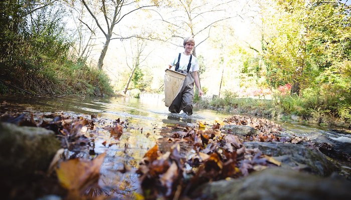 Read From Stream Beds to Mountain Tops by Robert Nichols
